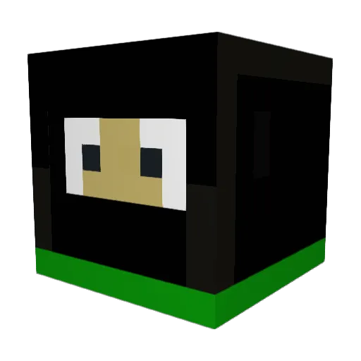 fr_ser Minecraft avatar head, 3D render