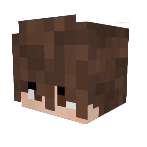 fraayy Minecraft avatar head, 3D render