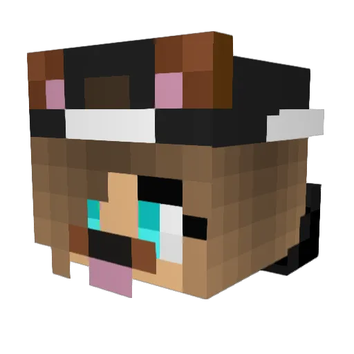frabra04 Minecraft avatar head, 3D render