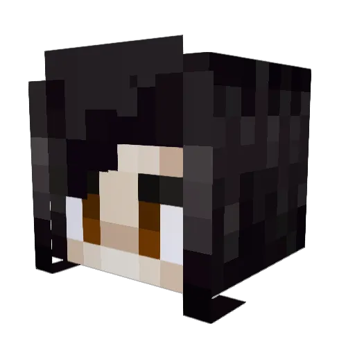 fragilis250 Minecraft avatar head, 3D render