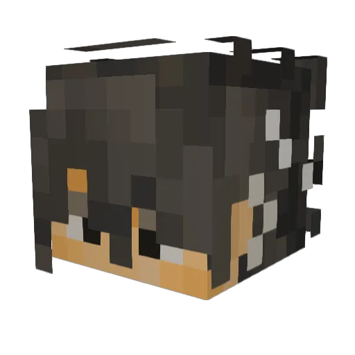 fragilistic38 Minecraft avatar head, 3D render