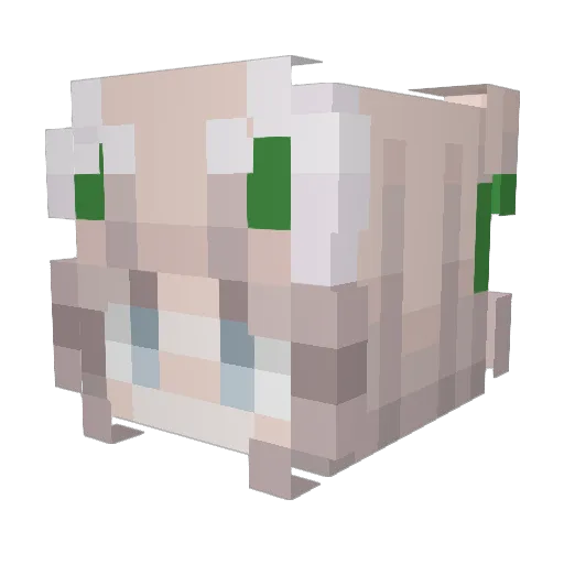 fragmentlol Minecraft avatar head, 3D render