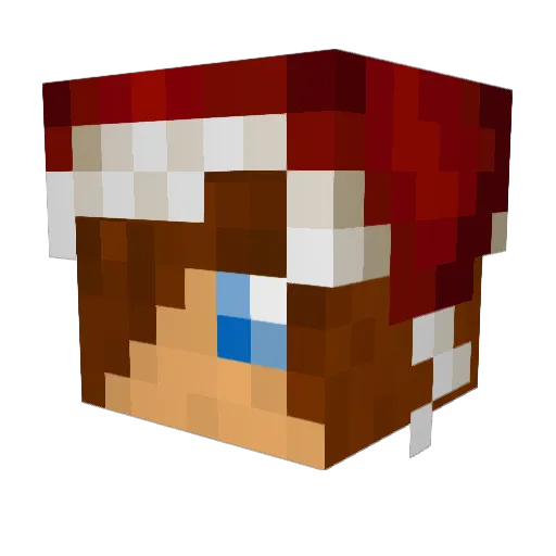 fragskillz Minecraft avatar head, 3D render