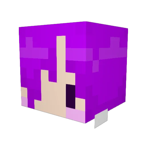 framboise0v0 Minecraft avatar head, 3D render