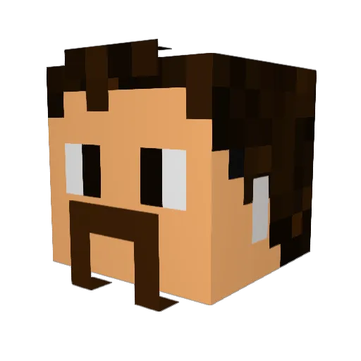 framesh1ft Minecraft avatar head, 3D render