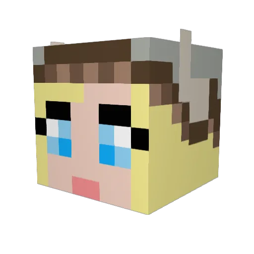 franZZon17 Minecraft avatar head, 3D render