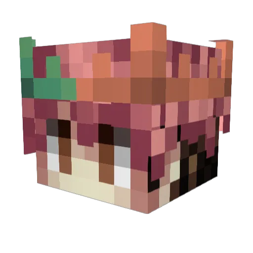 fran_shuter Minecraft avatar head, 3D render