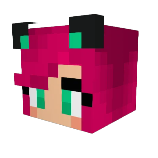 franchy3d Minecraft avatar head, 3D render