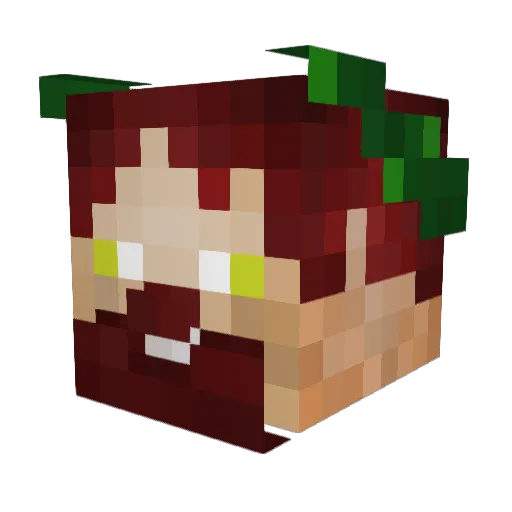 francisco_ Minecraft avatar head, 3D render