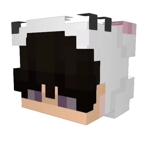 franciszekk_ Minecraft avatar head, 3D render