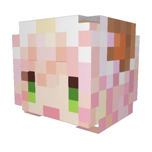 frank951515 Minecraft avatar head, 3D render