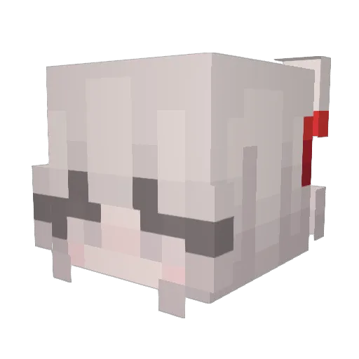 frankcoins Minecraft avatar head, 3D render