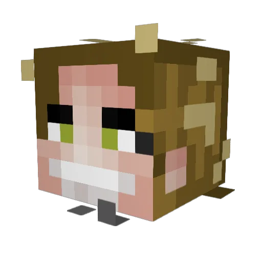 frankiefirestorm Minecraft avatar head, 3D render