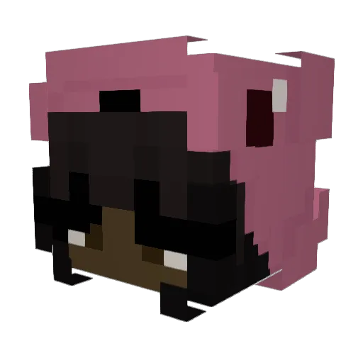 frankosheon Minecraft avatar head, 3D render