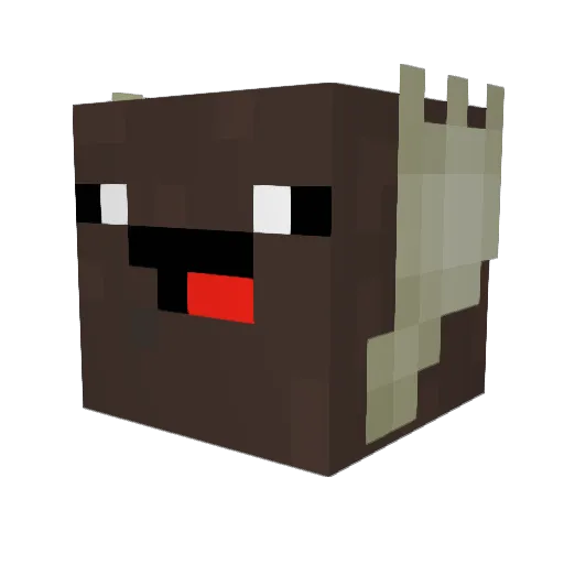 frankthecrank11 Minecraft avatar head, 3D render