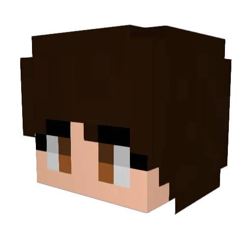 frankus_21 Minecraft avatar head, 3D render