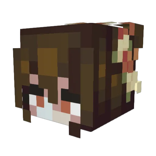 franlikesfrogs Minecraft avatar head, 3D render