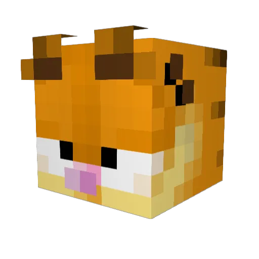 franman69 Minecraft avatar head, 3D render