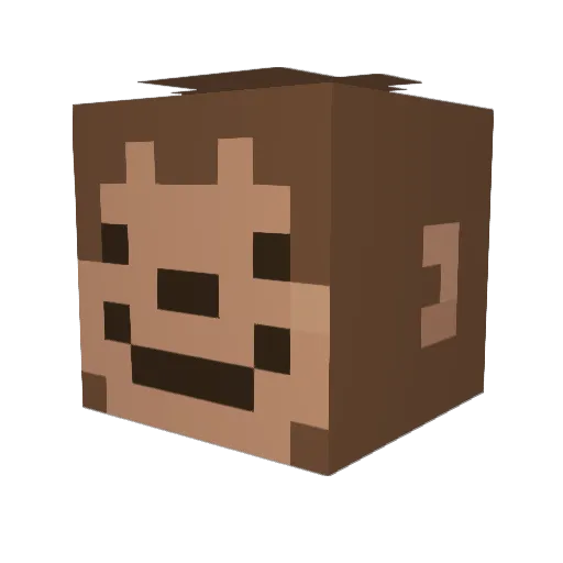 frannquito Minecraft avatar head, 3D render