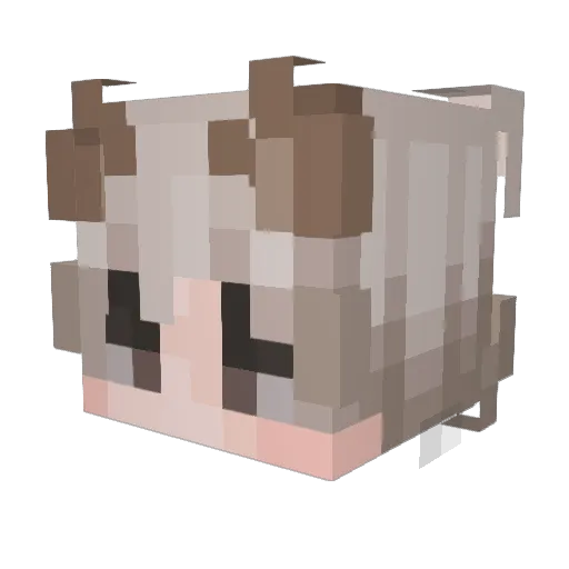 frappeco Minecraft avatar head, 3D render