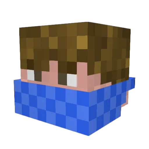 fraric99 Minecraft avatar head, 3D render