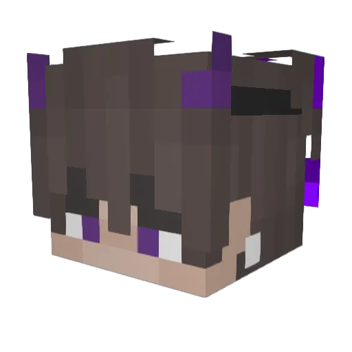 fraross459 Minecraft avatar head, 3D render