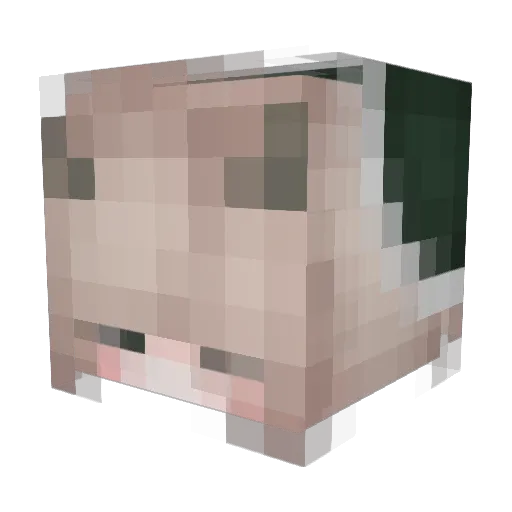 frature Minecraft avatar head, 3D render