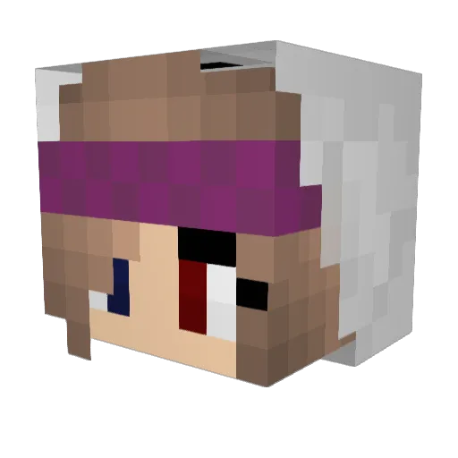 frauenrechte Minecraft avatar head, 3D render
