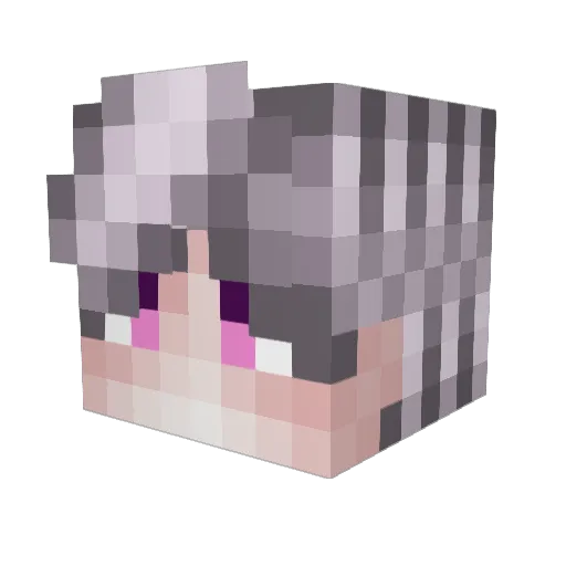 fraydd Minecraft avatar head, 3D render