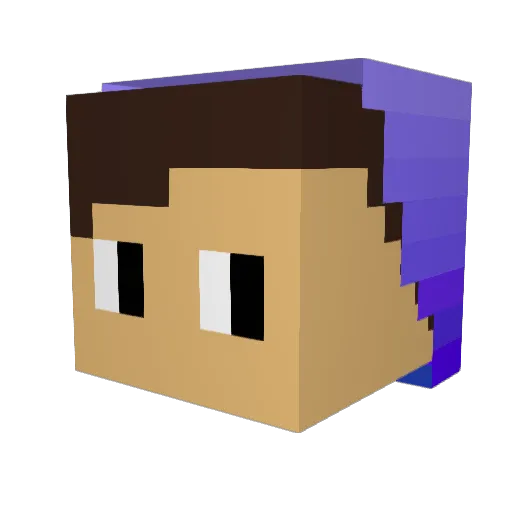 fraze_wireq Minecraft avatar head, 3D render