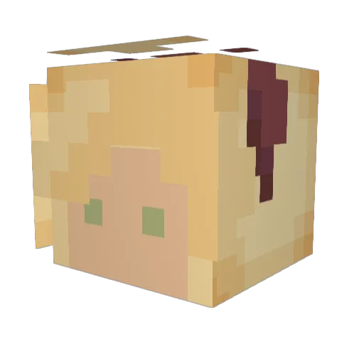frazzledspoon Minecraft avatar head, 3D render
