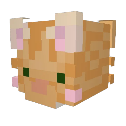 freakcatlover Minecraft avatar head, 3D render