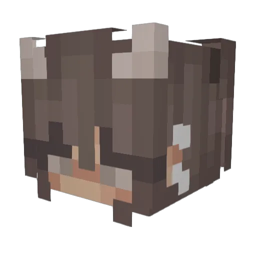 freakingcats Minecraft avatar head, 3D render