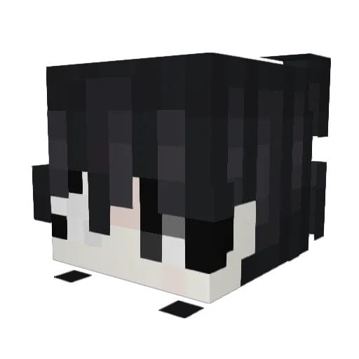 freaksiwan Minecraft avatar head, 3D render