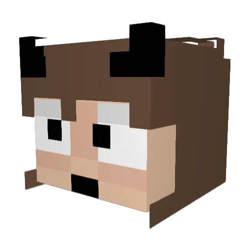 Minecraft-Avatar von freakybrine_: Kopf als 3D-Render
