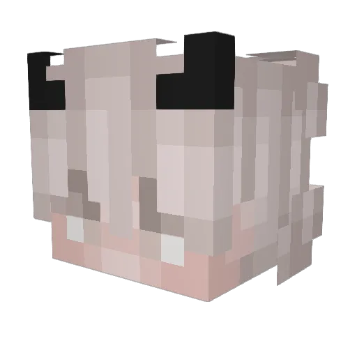 freakynobody Minecraft avatar head, 3D render