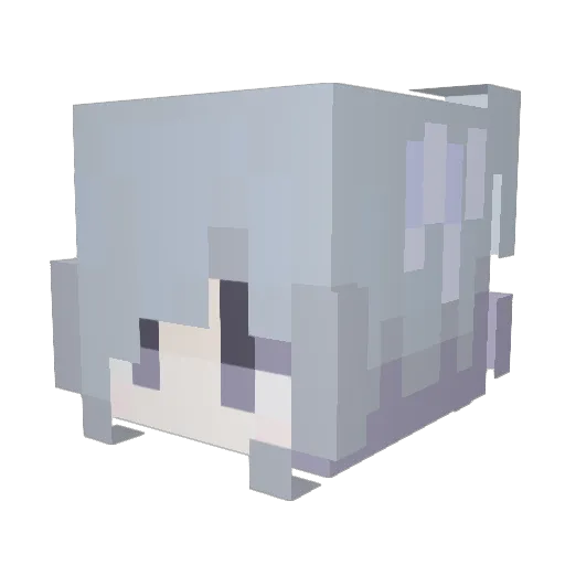 freakyunicorn123 Minecraft avatar head, 3D render