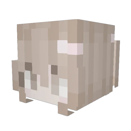 frecklel Minecraft avatar head, 3D render