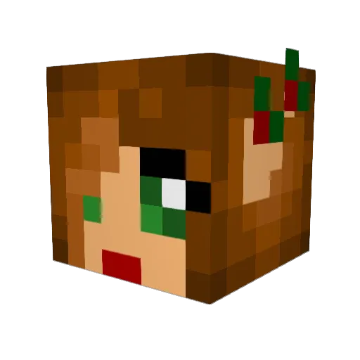fredandtyler Minecraft avatar head, 3D render