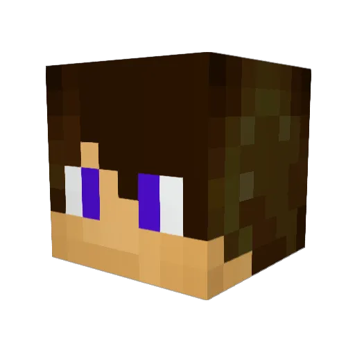 frederik323 Minecraft avatar head, 3D render