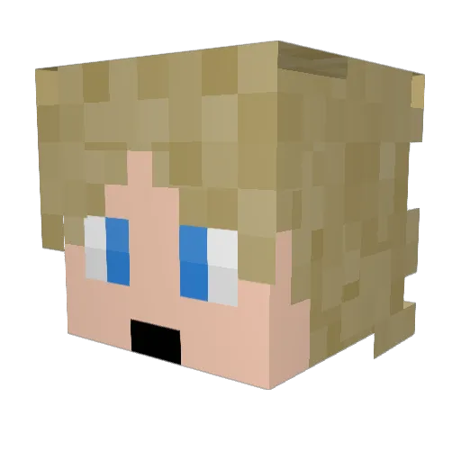 fredowwi Minecraft avatar head, 3D render