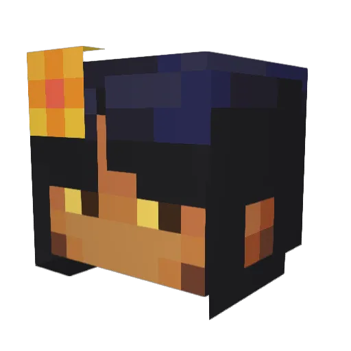 freecoffees Minecraft avatar head, 3D render