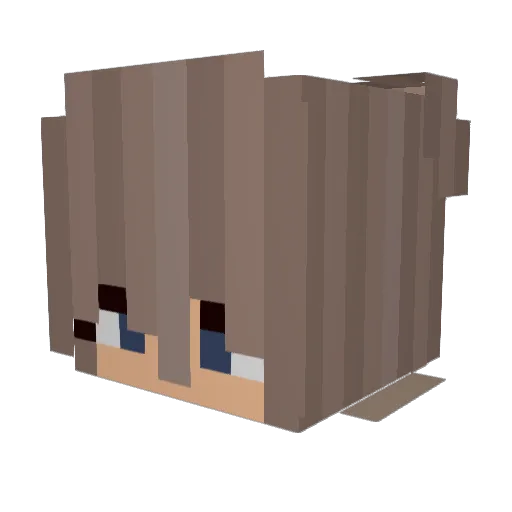 freedtzz Minecraft avatar head, 3D render
