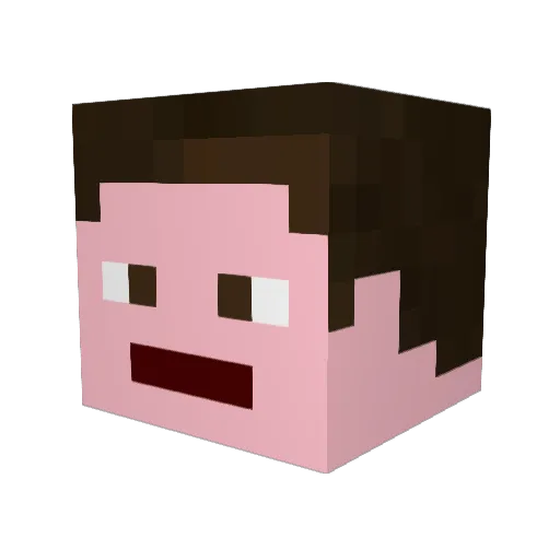 freelancer500 Minecraft avatar head, 3D render