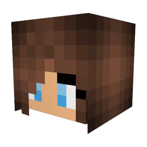 freelancerleno Minecraft avatar head, 3D render