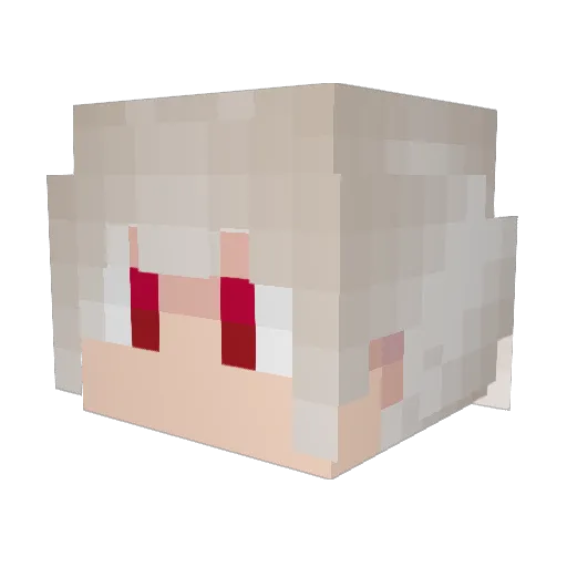freetimes101 Minecraft avatar head, 3D render