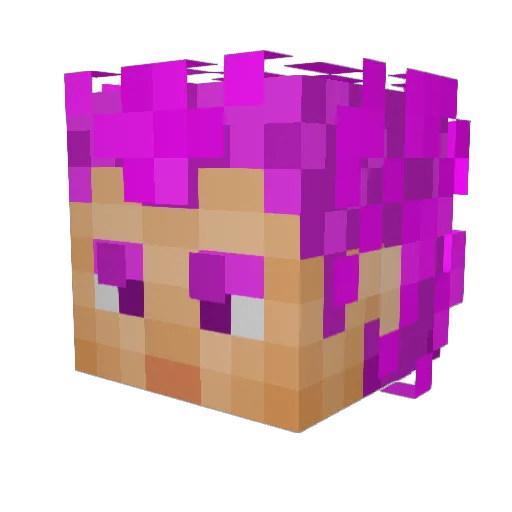 freetown600 Minecraft avatar head, 3D render