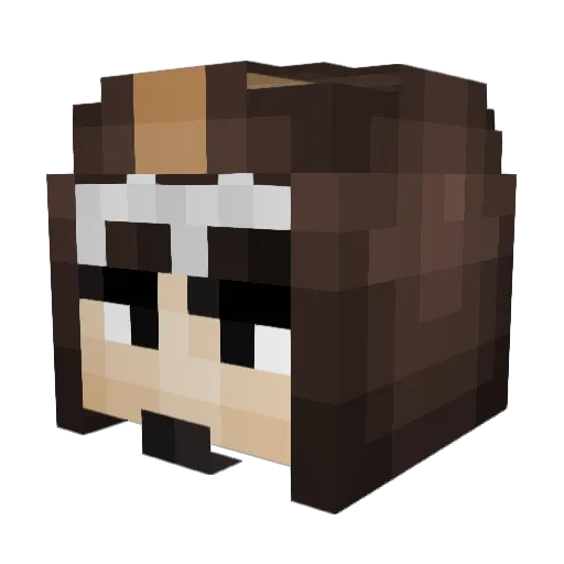 freezerdoor Minecraft avatar head, 3D render