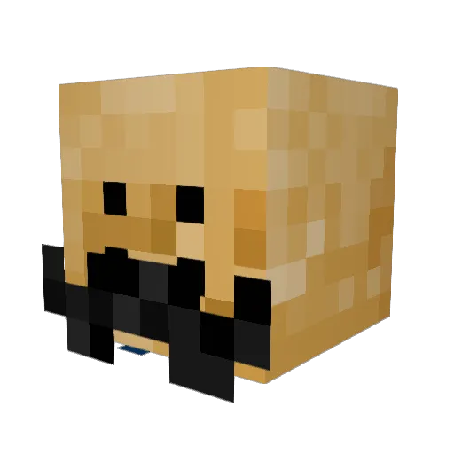 freguette Minecraft avatar head, 3D render