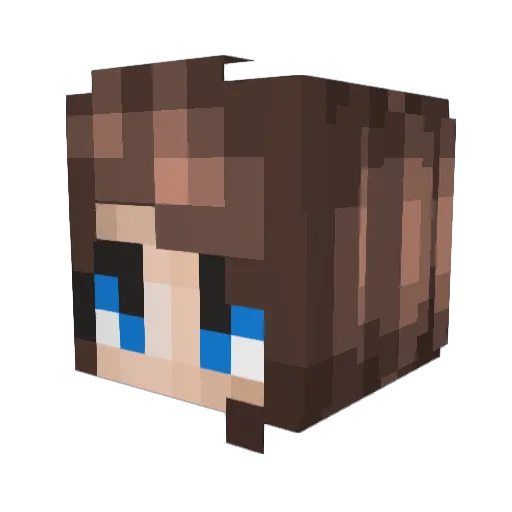 frejse123 Minecraft avatar head, 3D render